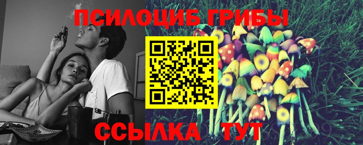 Галлюциногенные грибы Psilocybine cubensis  Вход с VPN  Алексин  Псилоцибиновые грибы прущие грибы 